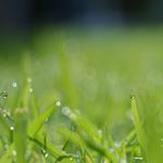 Three Obstacles to True Forgiveness
